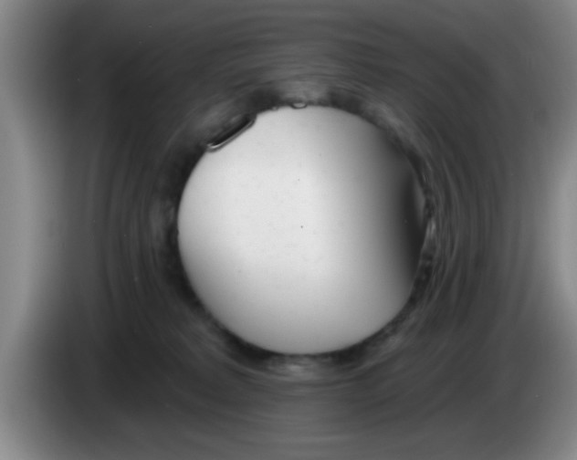 X0000083590229200703091726