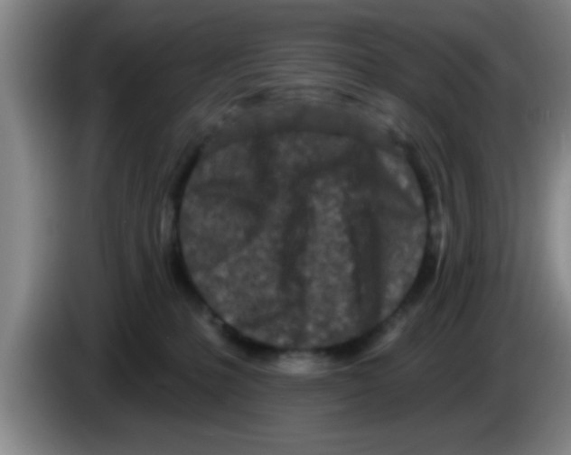 X0000083590231200703091726