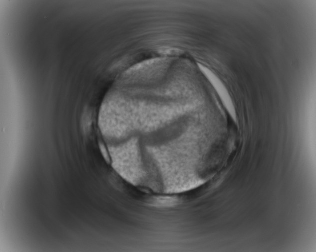 X0000083590233200703091726