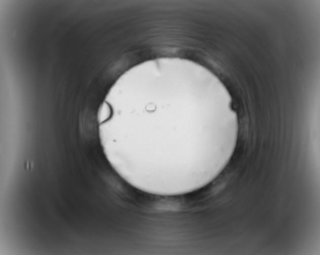 X0000083590234200703091726