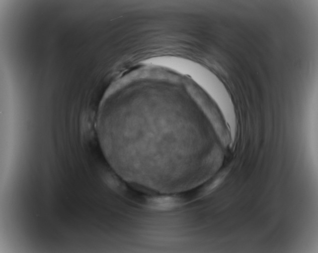 X0000083590237200703091726