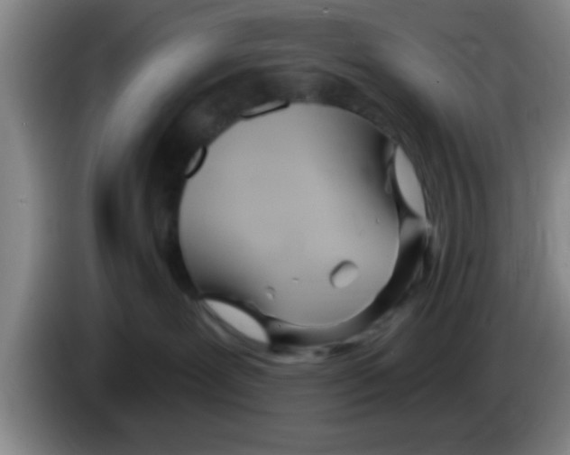 X0000083590239200703091726