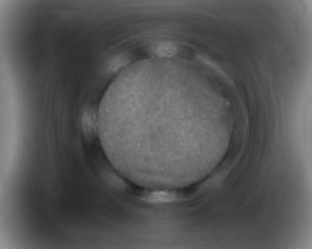 X0000083590240200703091726