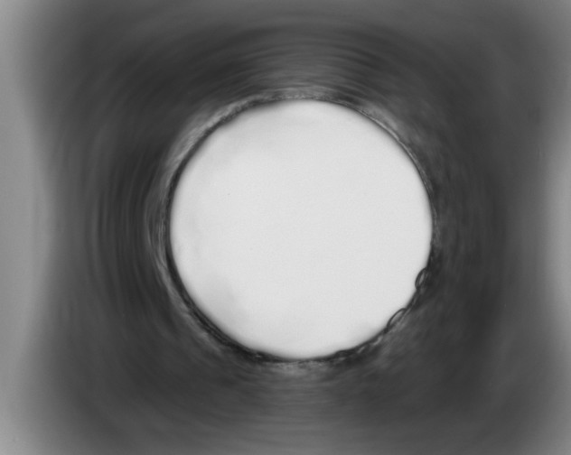 X0000083590241200703091725