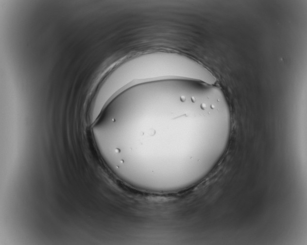 X0000083590242200703091725