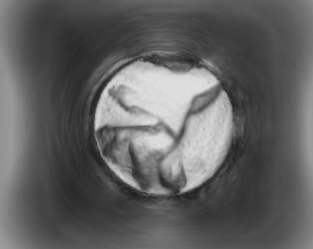 X0000083590243200703091725