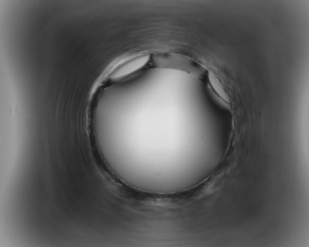 X0000083590244200703091725