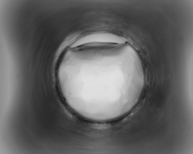 X0000083590245200703091725