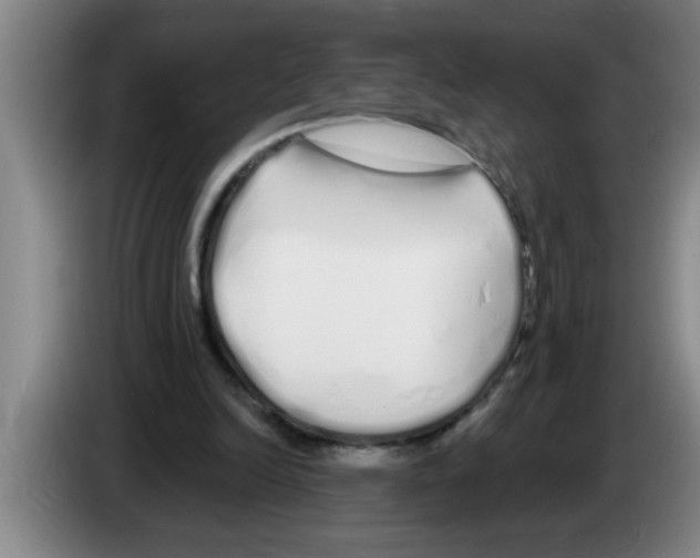 X0000083590246200703091726