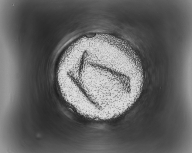 X0000083590247200703091726