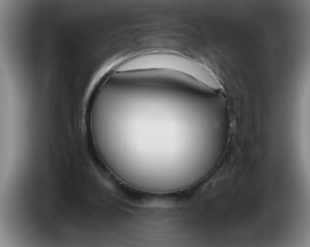 X0000083590248200703091726