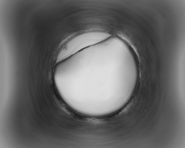 X0000083590249200703091726