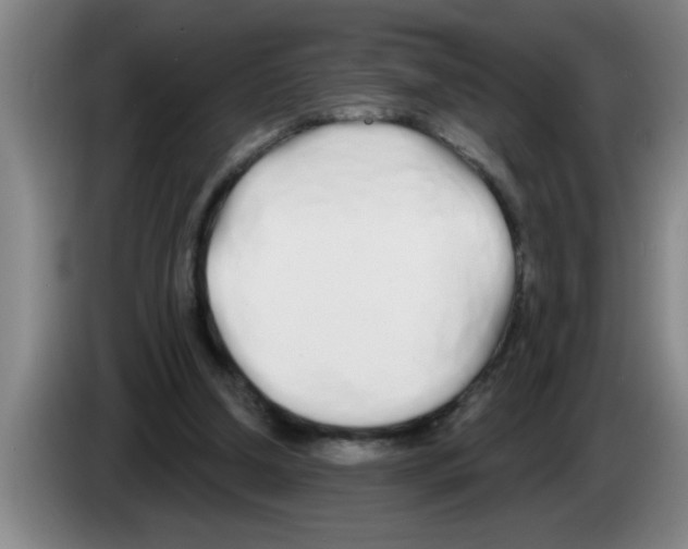 X0000083590250200703091726