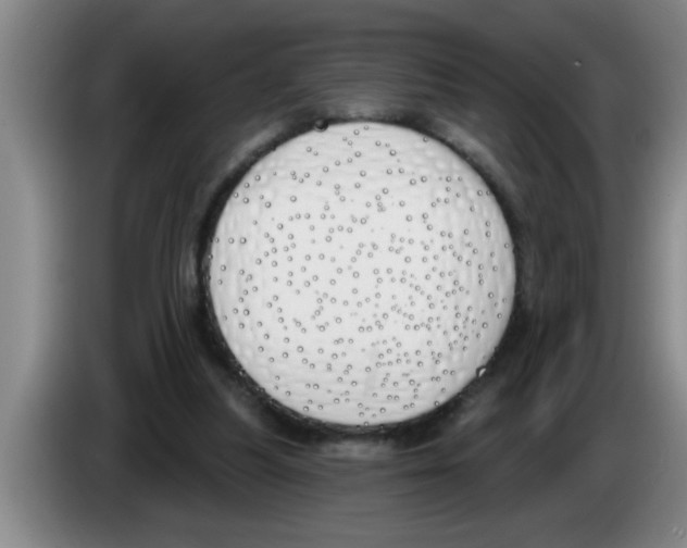 X0000083590251200703091726