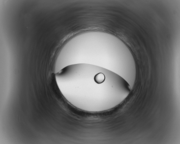 X0000083590252200703091726