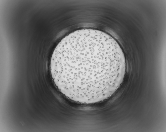 X0000083590253200703091726