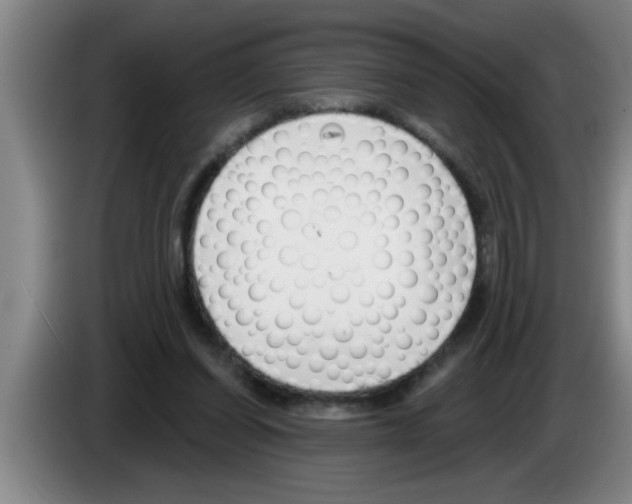 X0000083590254200703091726