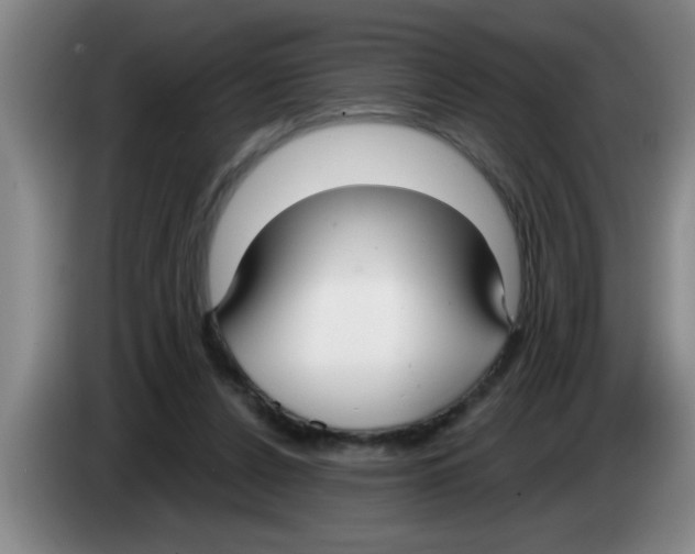 X0000083590256200703091726