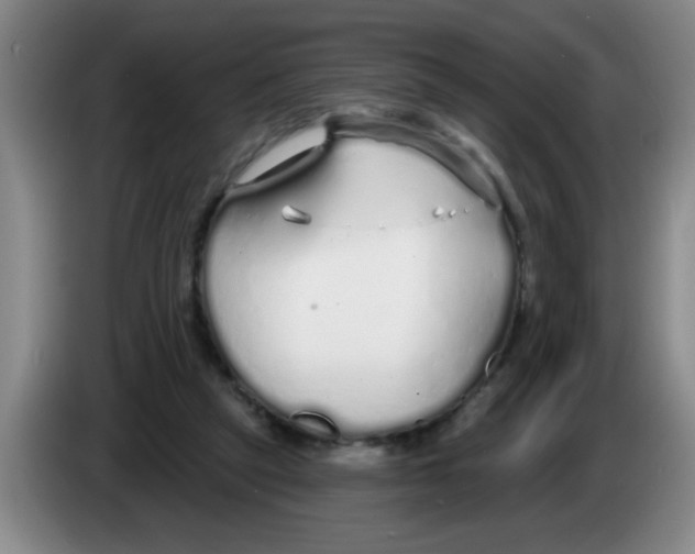 X0000083590257200703091726