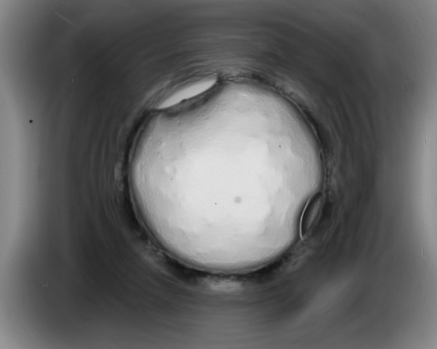X0000083590258200703091726