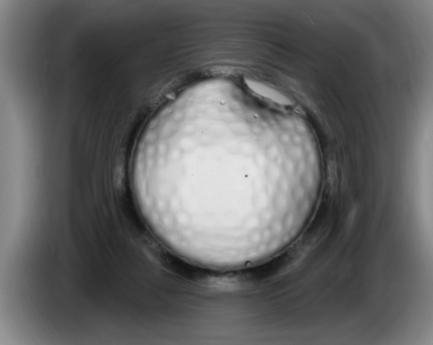 X0000083590259200703091726
