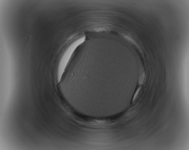 X0000083590260200703091726