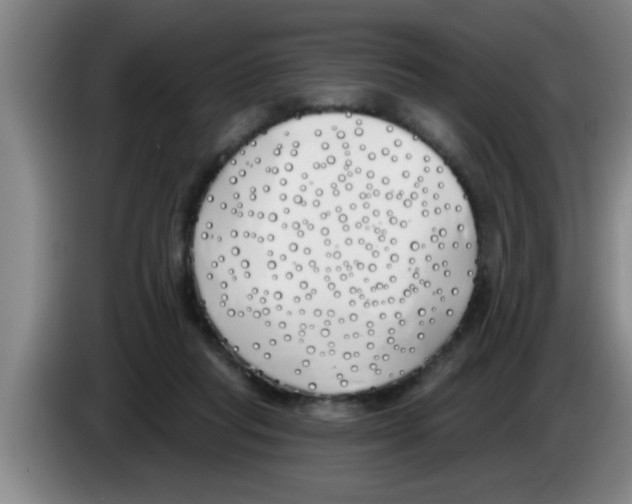 X0000083590261200703091726
