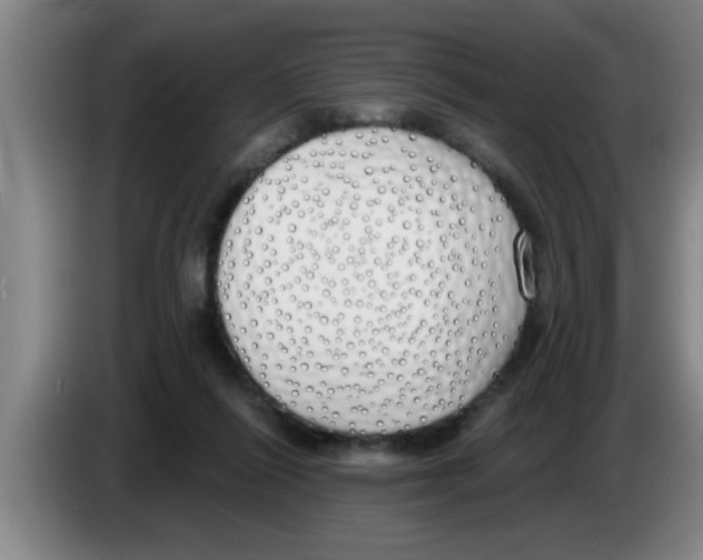 X0000083590262200703091726