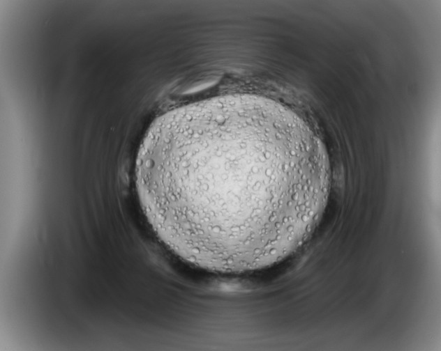 X0000083590264200703091726