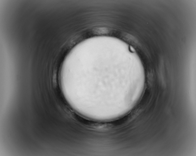 X0000083590267200703091726