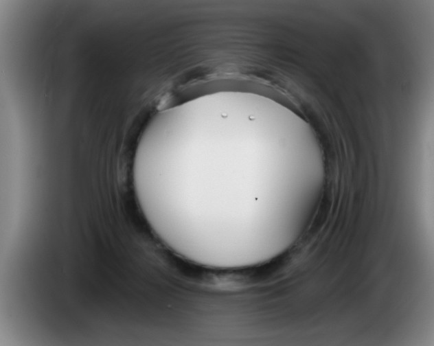 X0000083590268200703091726