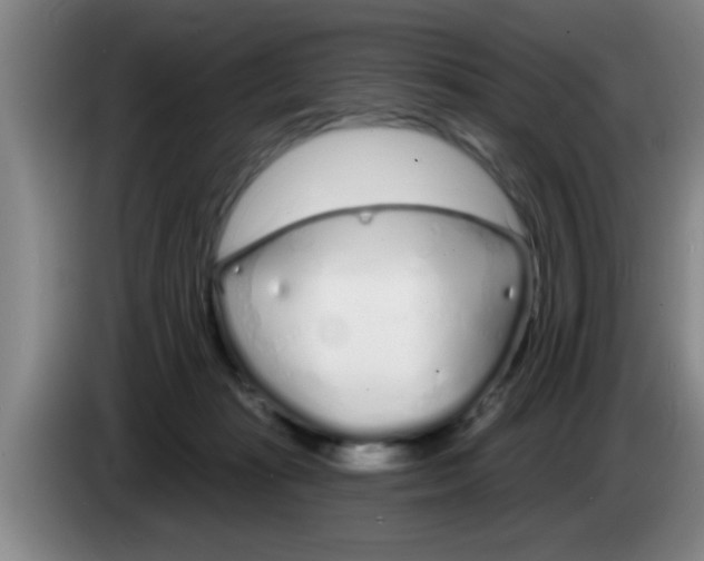 X0000083590269200703091726