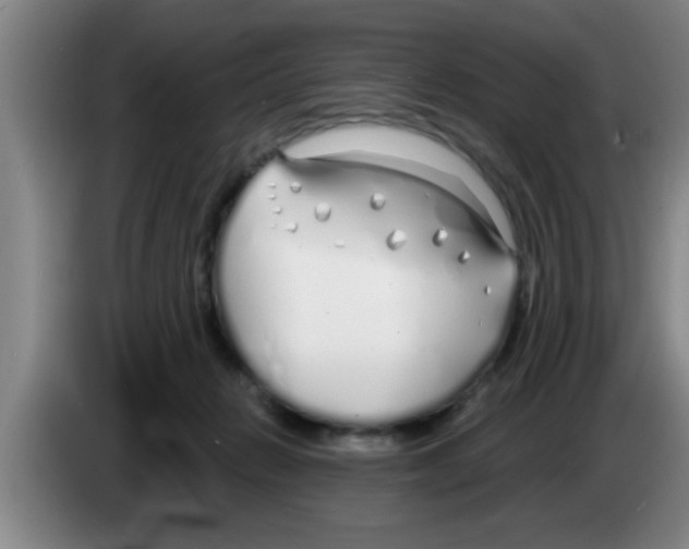 X0000083590270200703091726