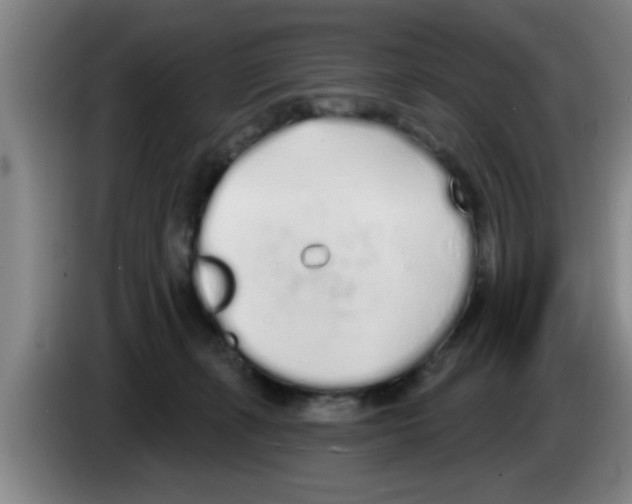 X0000083590271200703091726