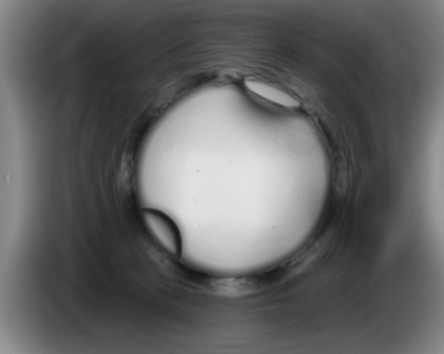 X0000083590273200703091726