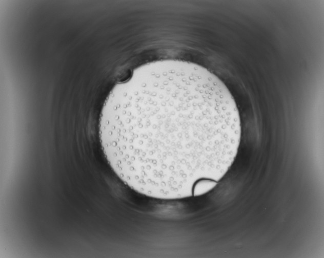 X0000083590274200703091726