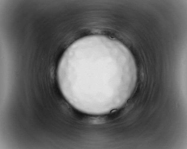 X0000083590275200703091726