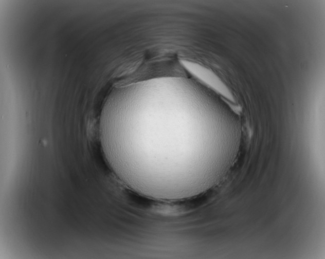 X0000083590276200703091726