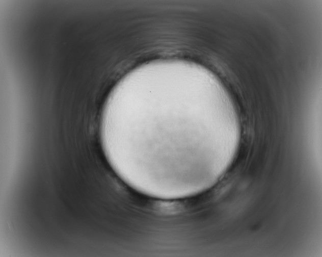 X0000083590277200703091726