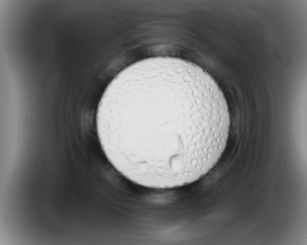 X0000083590278200703091726