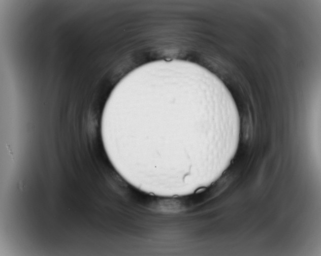 X0000083590279200703091726