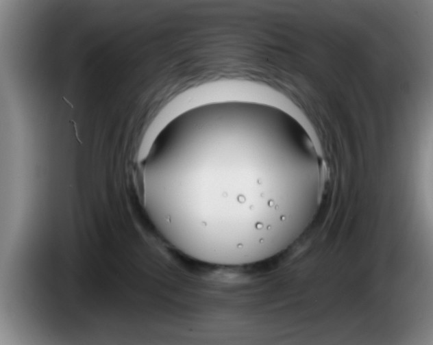 X0000083590280200703091726