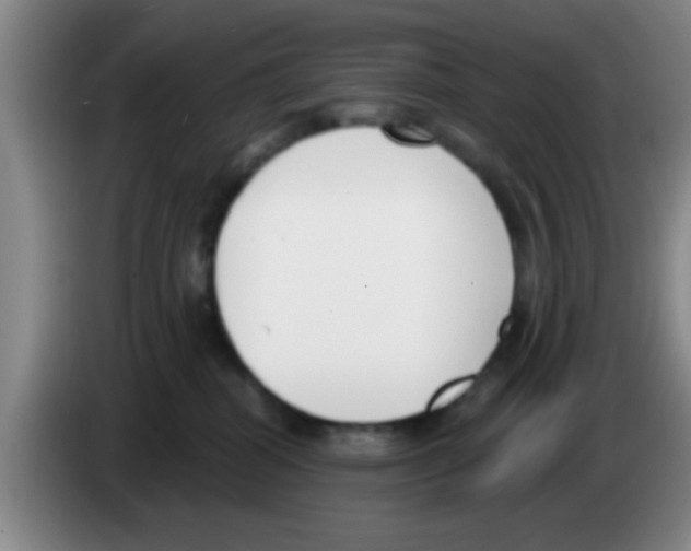 X0000083590282200703091726