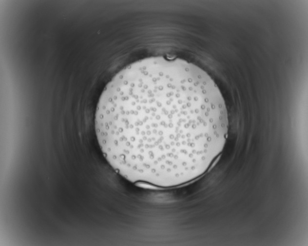 X0000083590283200703091726
