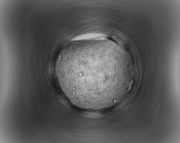 X0000083590284200703091726