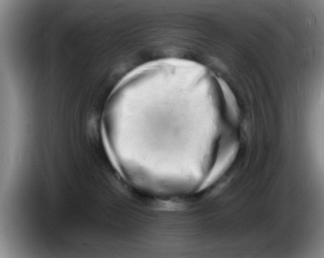 X0000083590286200703091726