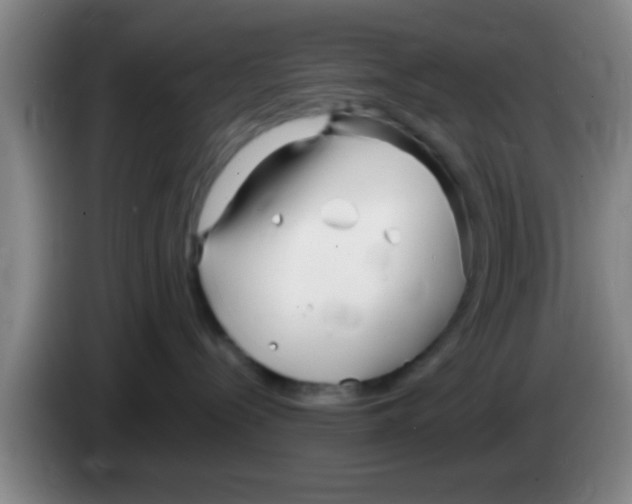 X0000083590288200703091726