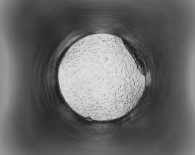 X0000083590291200703091725