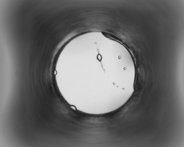 X0000083590292200703091725