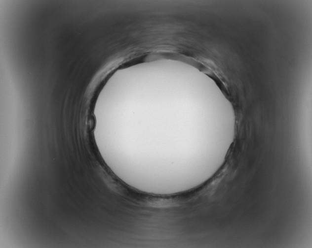 X0000083590293200703091725